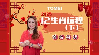 2025年乙巳蛇年 | 十二生肖运程 （下）