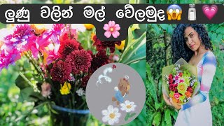 පාට වෙනස් නොවී මල් වේලන හොදම ක්‍රමය🌺| 😱🧂ලුණු වලින් මල් වේලමුද 😱 🌸 flowers preserve with salted|  🌺