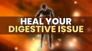 Heal Your Digestive Issue | Gastroparesis Treatment | Strengthen Nerves \u0026 Muscles Of Stomach | 528Hz