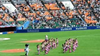 ２０１１年　開幕戦　ロッテＶＳ楽天