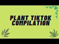 Plant TikTok Compilation - Gardening tips and tricks for beginners