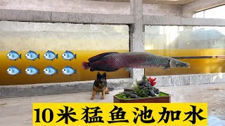 100吨鱼池正式加水，期待猛鱼入缸