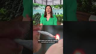 Medical marijuana reclassification underway
