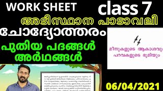 മീനുകളുടെ ആകാശവും പറവകളുടെ ഭൂമിയും / പുതിയ പദങ്ങൾ / ചോദ്യോത്തരം