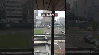 【ショート動画】2024年7月7日13時台 旭川に来た！ #shorts 【めすすめ動画】