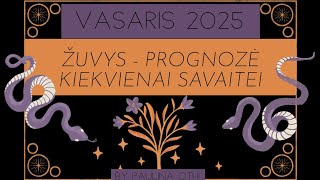 ŽUVYS Vasario taro prognozė 2025 - Paulina Othi (EN, UK, RU, HI subtitles)