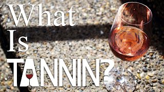 What Is Tannin? | Fast Fact