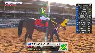 【馬場入場】ブリーダーズカップクラシック(GⅠ) 2024/11/02