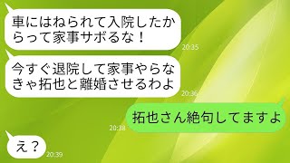 車にはねられて緊急入院した妻に家事をやれと強要する鬼のような姑「杖をついてでも帰ってこい！」→とんでもないクズ義母にある真実を伝えた時の反応がwww