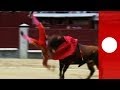 Suspendida la corrida de Madrid al resultar heridos los tres toreros