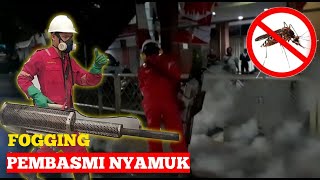 DD Fogging || Fogging Pembasmi Nyamuk