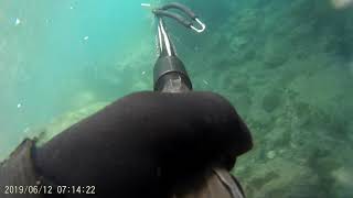 SPEARFISHING SAMOS