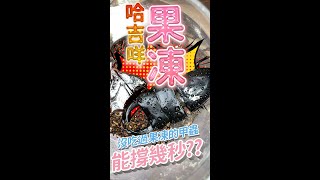 我看你能忍多久?【果凍哈吉咩】