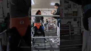 59歳(灰T)VS44歳トレーナー(黒T)のスパーリング2R目