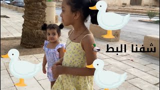 رحنا نشوف البط 🦢🦢🦢🦢🦆🦆🦆🦆