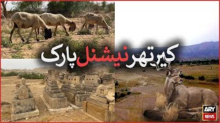 Kirthar National Park: travelogue on the protected region's terrain, wildlife \u0026 challenges