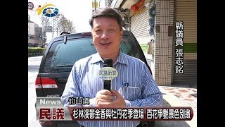 20180306 民議新聞 杉林溪鬱金香與牡丹花季登場 百花爭艷景色別緻(縣議員 張志銘)