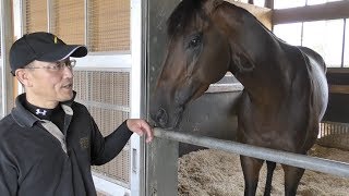 【神戸新聞杯】キセキ・角居勝彦調教師　夏の上り馬がクラシック戦線へ殴り込む