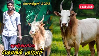 Munjurpattu Kokki Kumar 🔥 2022 || Kolathur Kuppam || Gr palayam || Jallikkattu || Manjuvirattu ||