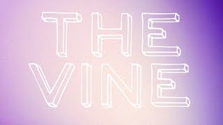 Meltybrains? - The Vine