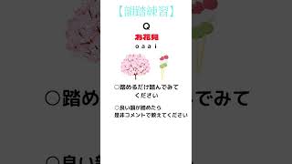 【韻踏練習】Q お花見