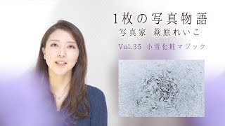 １枚の写真物語〜萩原れいこ〜　Vol35 小雪化粧マジック