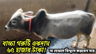 gorur haat 2022 |গরুর এতো দাম?গরু বেচাকেনা| কুরবানির গরুর হাট ২০২২ | Qurbani Cow price in Bangladesh