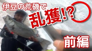 伊豆の荒磯で乱獲⁉︎【前編】磯ヒラばらし克服し全てが報われる瞬間