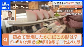 “小田原名物”かまぼこが進化中！あなごに、かにたまも！？変わりダネ「かまぼこ」が続々登場｜TBS NEWS DIG