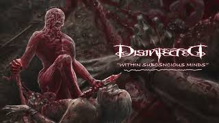 DISINFECTED - Within Subcnicious Minds