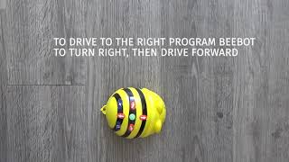 3. BeeBots - Controls
