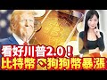 看好川普2.0！比特幣創新高 馬斯克「狗狗幣」暴漲【中時財知道】EP39謝明智 @ChinaTimes