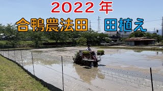 2022年　合鴨農法田の田植えです