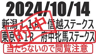 【競馬予想】２０２４年１０月１４日　新潟１１R信越ステークス　東京１１R府中牝馬ステークス　の予想と買い目