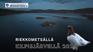 RIEKKOJAHDISSA KILPISJÄRVELLÄ 2024