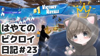 🏆✨【はやてのビクロイ日記＃２３（Long ver）】【フォートナイト / FORTNITE Victory Royale Diary