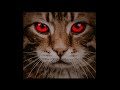 how to change cat eye's colour in PicsArt # black studio graphy