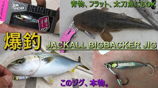 【最強】ジャッカルビッグバッカージグ JACKALL BIGBACKER JIG ジギング イナダ マゴチ タチウオ MANCING MANIA JAPAN