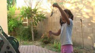 小比跟蜥蝪和蚱蜢玩 Debbie playing with lizard \u0026 grasshopper