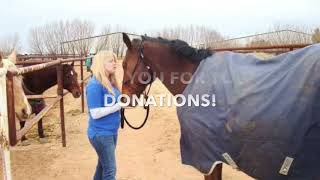 Aaron Murray Memorial Fund with Gentle Spirit Horses