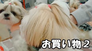 お買い物2【シーズー 犬 / shih tzu dog】