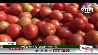 Mohnal Latur Road village's tomato and cabbage success story