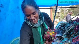 kodaikanal everlasting flower shop vlog | Twinstamilcreation