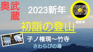 初詣 子ノ権現と竹寺を歩く そして初温泉さわらびの湯