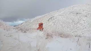 Tararua Southern Crossing in Winter