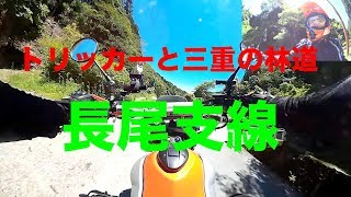 【三重林道　長尾支線】三重の林道紹介