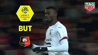 But Mbaye NIANG (86') / EA Guingamp - Stade Rennais FC (2-1)  (EAG-SRFC)/ 2018-19