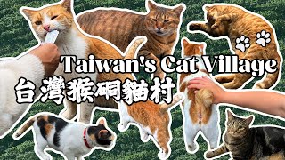 台灣猴硐貓村｜台北自由行2023 Visiting Taiwan's Cat Village｜Taipei Travel Guide 2023