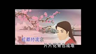 梅花泪竹笛曲 笛子 Chinese musical instruments Bamboo flute