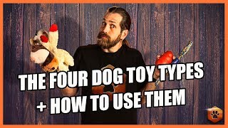 How to Use the 4 Types of Dog Toys RIGHT!